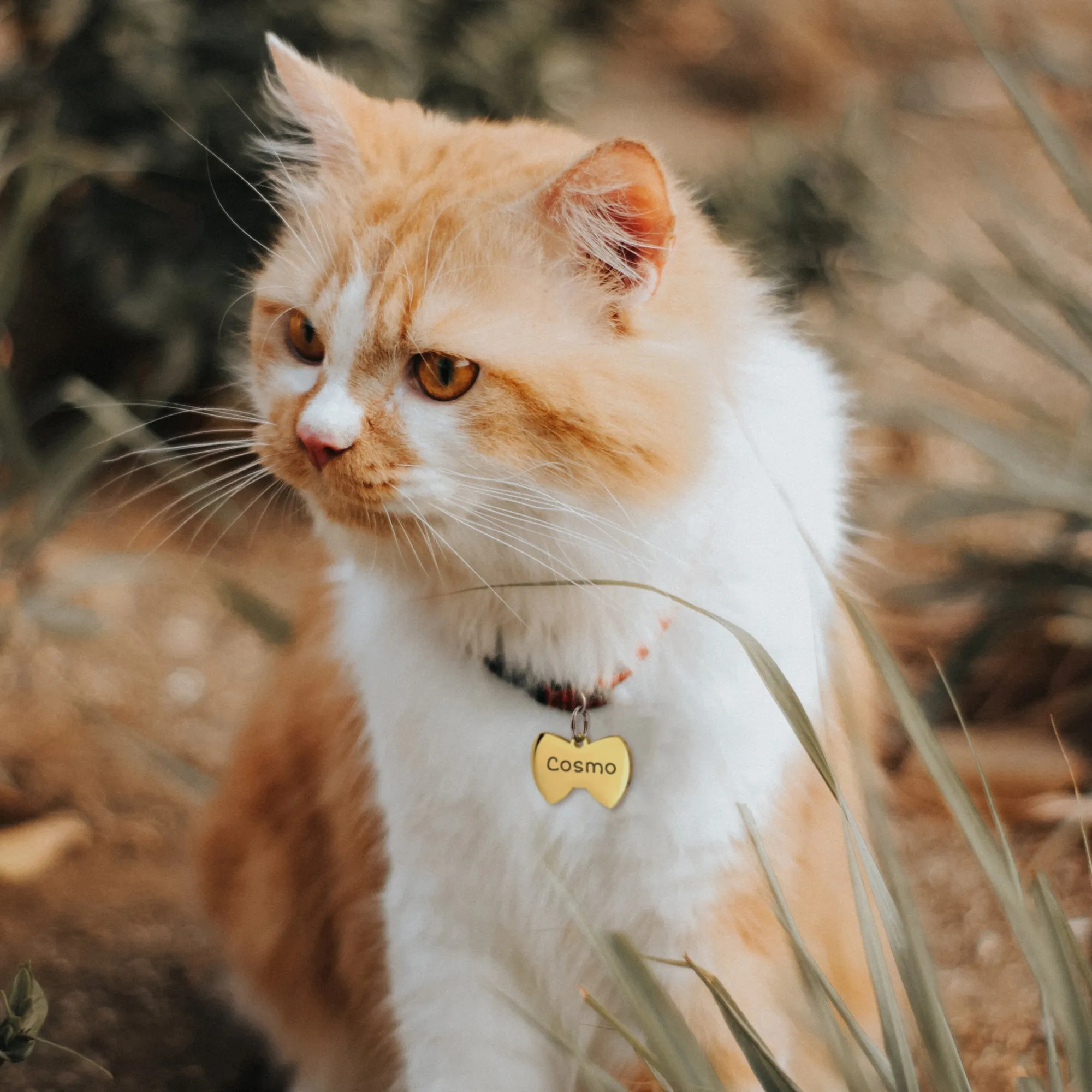 Bow Tie Pet ID Dog Tag sold by Anavia product image thumbnail 2