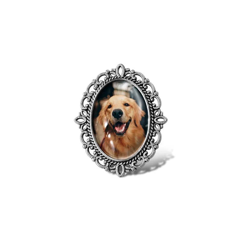 Vintage Oval Resin Pet Photo Brooch made by Anavia