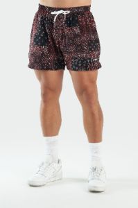GTS Paisley 5 Inch Mesh Shorts | Parallel