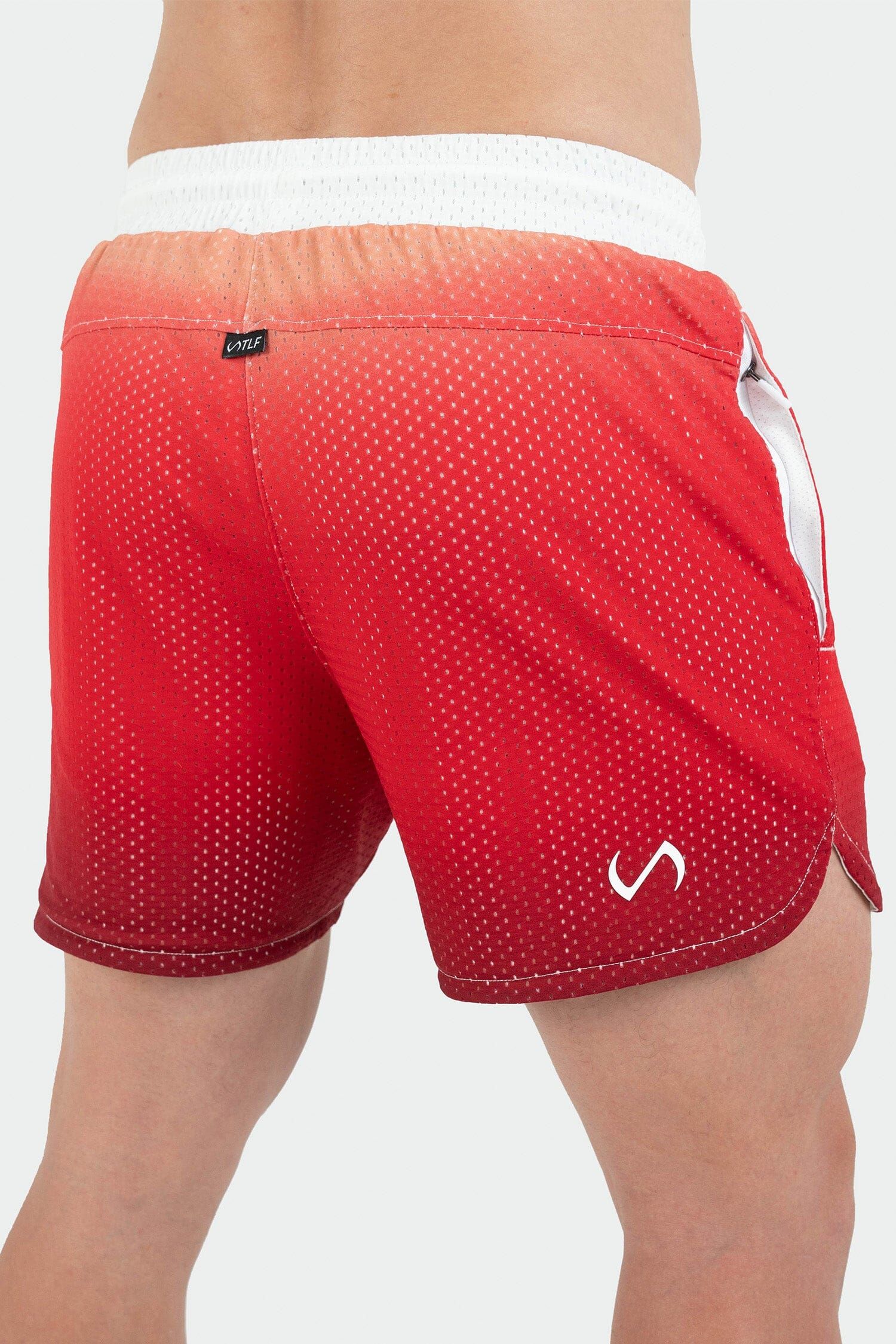 GTS Ombre Mesh 5 Inch Shorts sold by TLF Apparel product image thumbnail 5