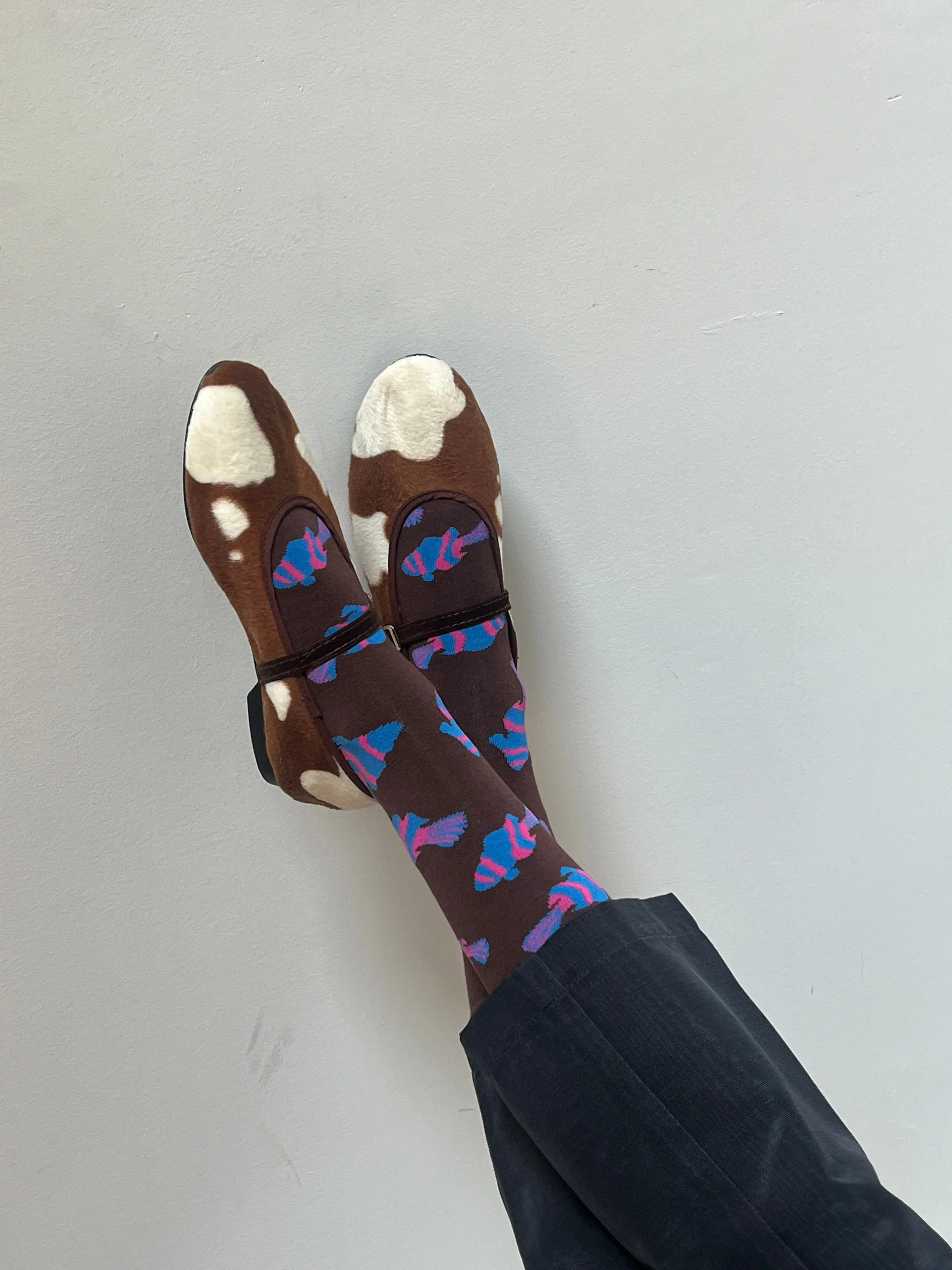 Sauntering Socks - Chocolate Fish sold by Nikki Chasin product image thumbnail 4