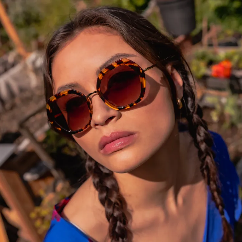 Polly.G Brown / Havana - Sunglasses sold by Le Petit Lunetier