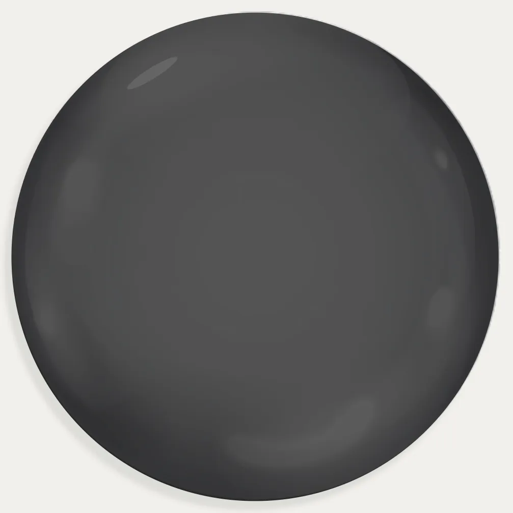 Black sunglasses sold by Le Petit Lunetier