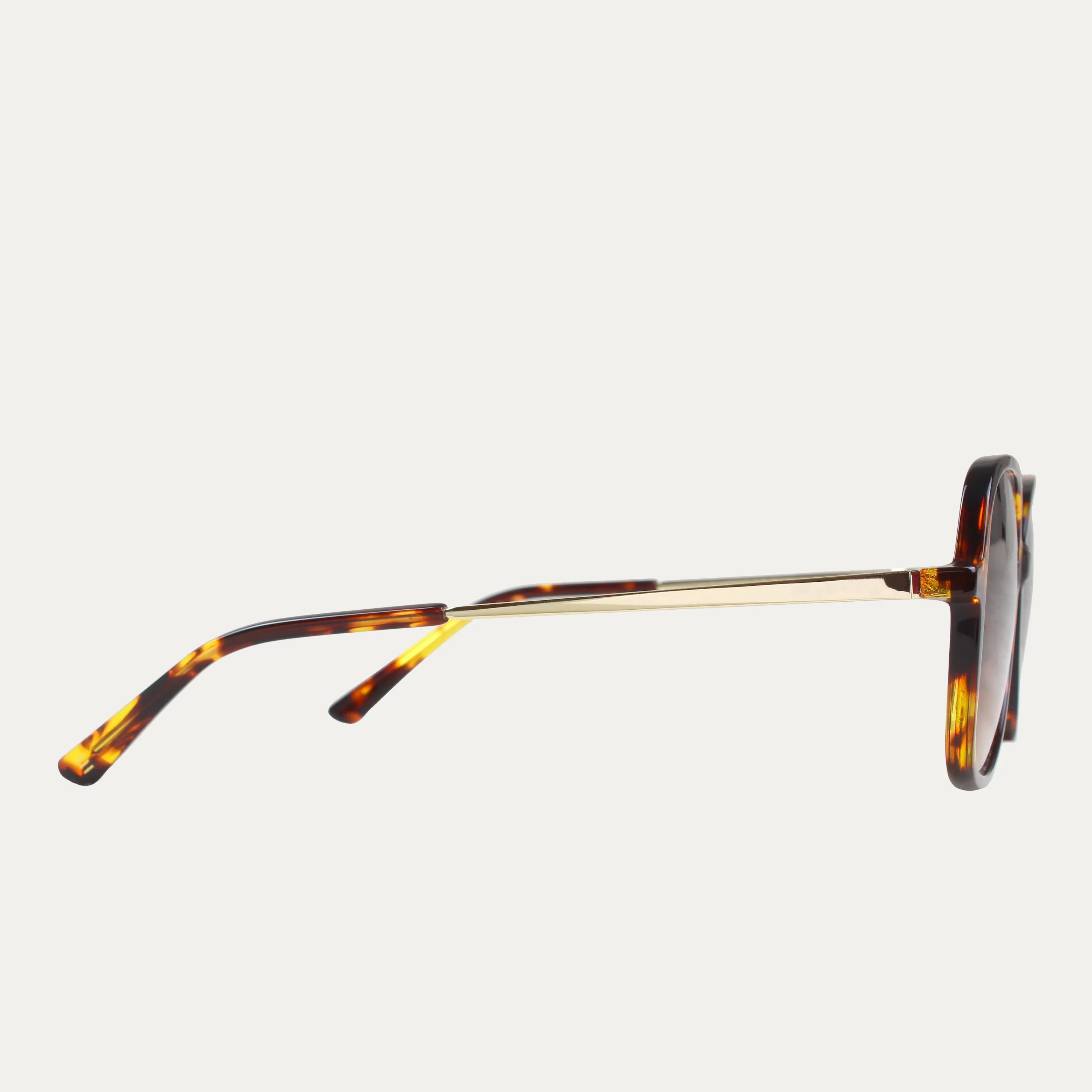 Lidia.A Brown / Havana - Sunglasses sold by Le Petit Lunetier product image thumbnail 3