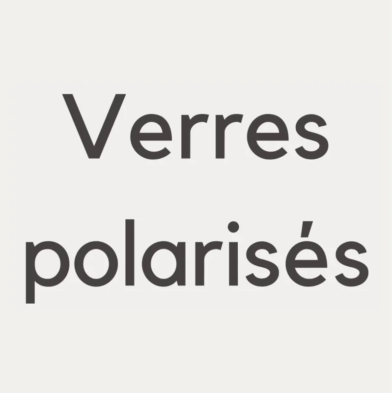 Polarized sun lenses sold by Le Petit Lunetier