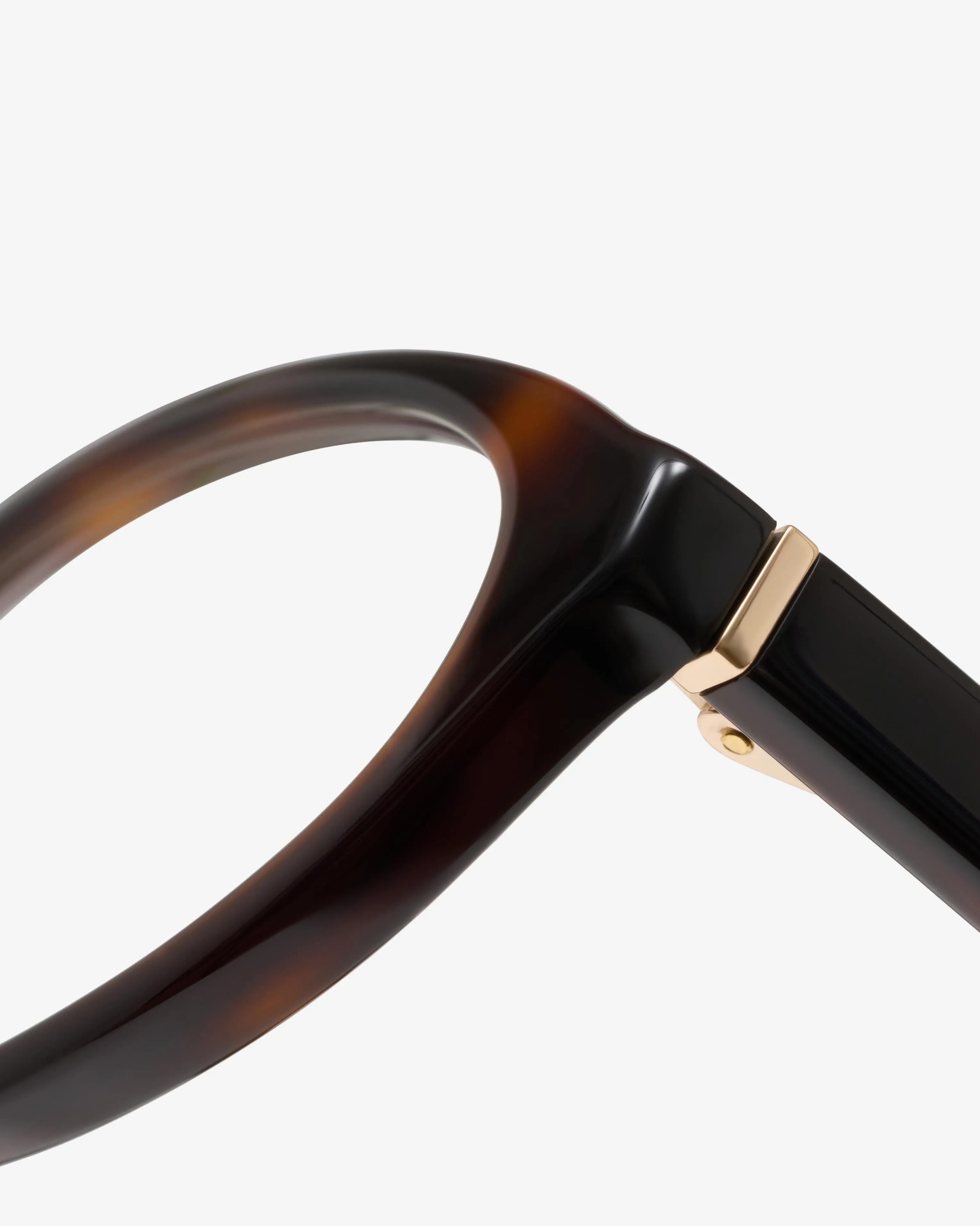 Ashbury Tortoise - Blue Light sold by Le Petit Lunetier product image thumbnail 4