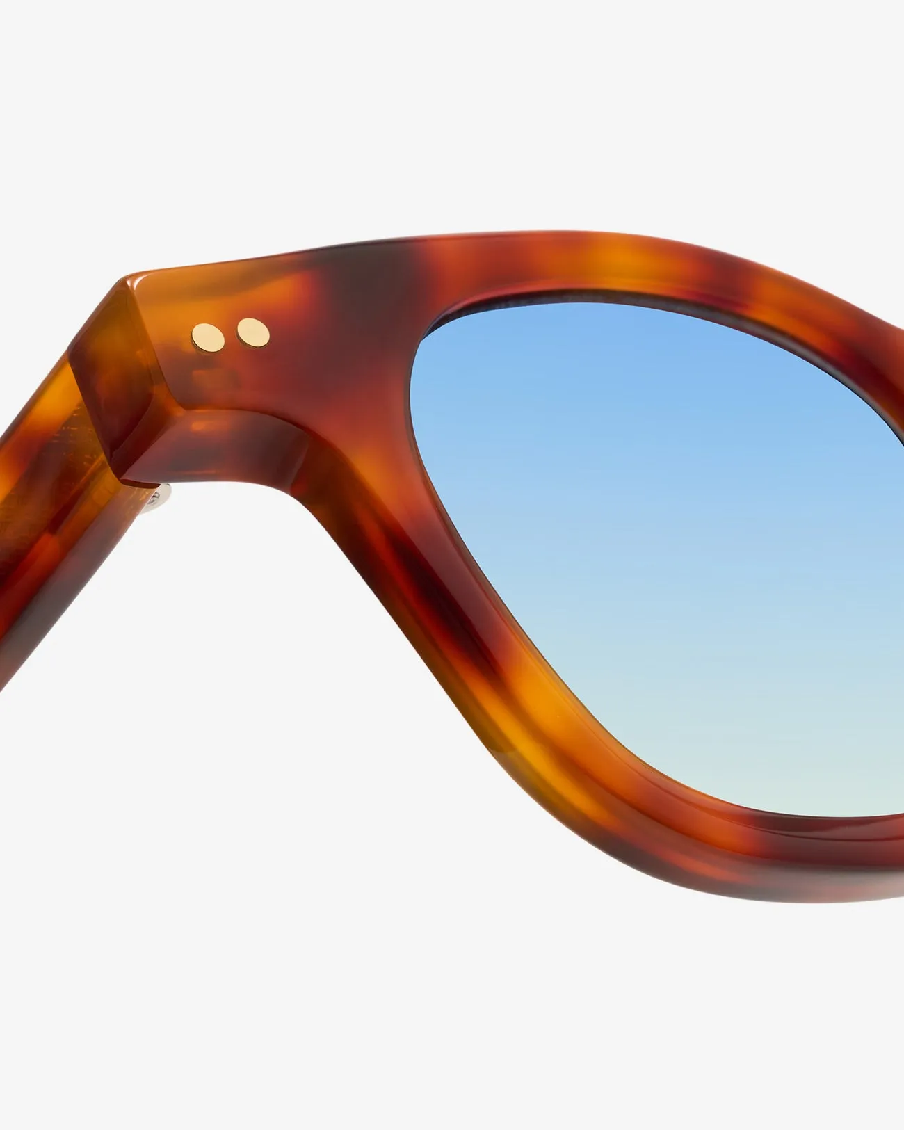 Bruce Tortoise - Sunglasses sold by Le Petit Lunetier product image thumbnail 5
