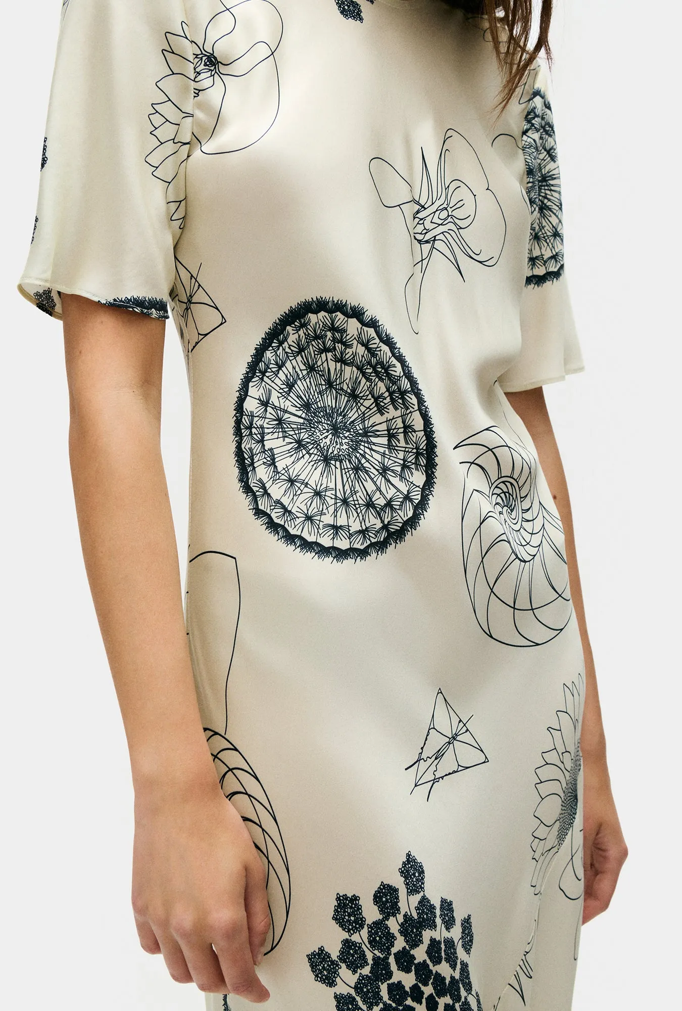 Short Sleeve Bias Dress Fibonacci Off-White sold by Silk Laundry product image thumbnail 5