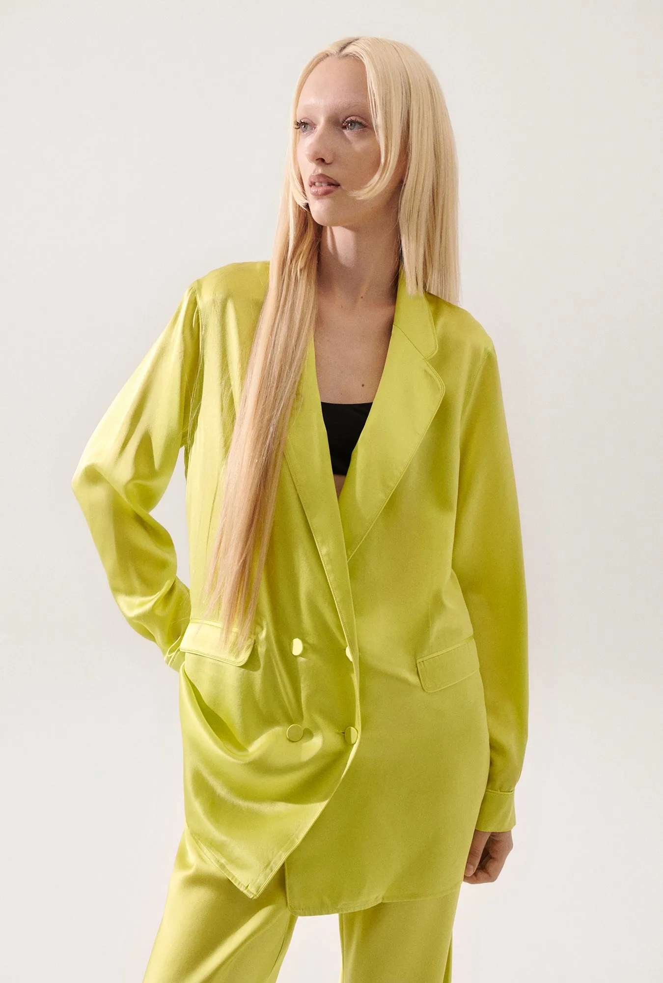 RELAXED BLAZER ABSINTHE sold by Silk Laundry product image thumbnail 5