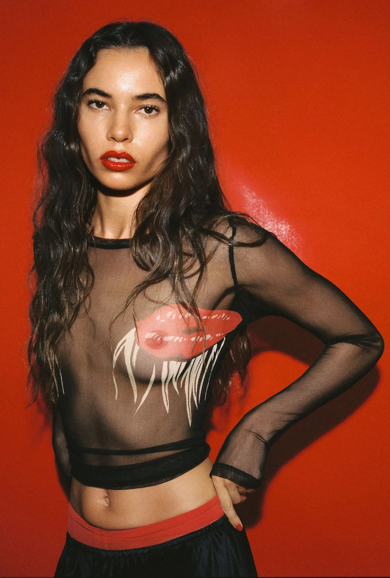 MESH LONG SLEEVE TOP HOT LIPS sold by Silk Laundry product image thumbnail 3