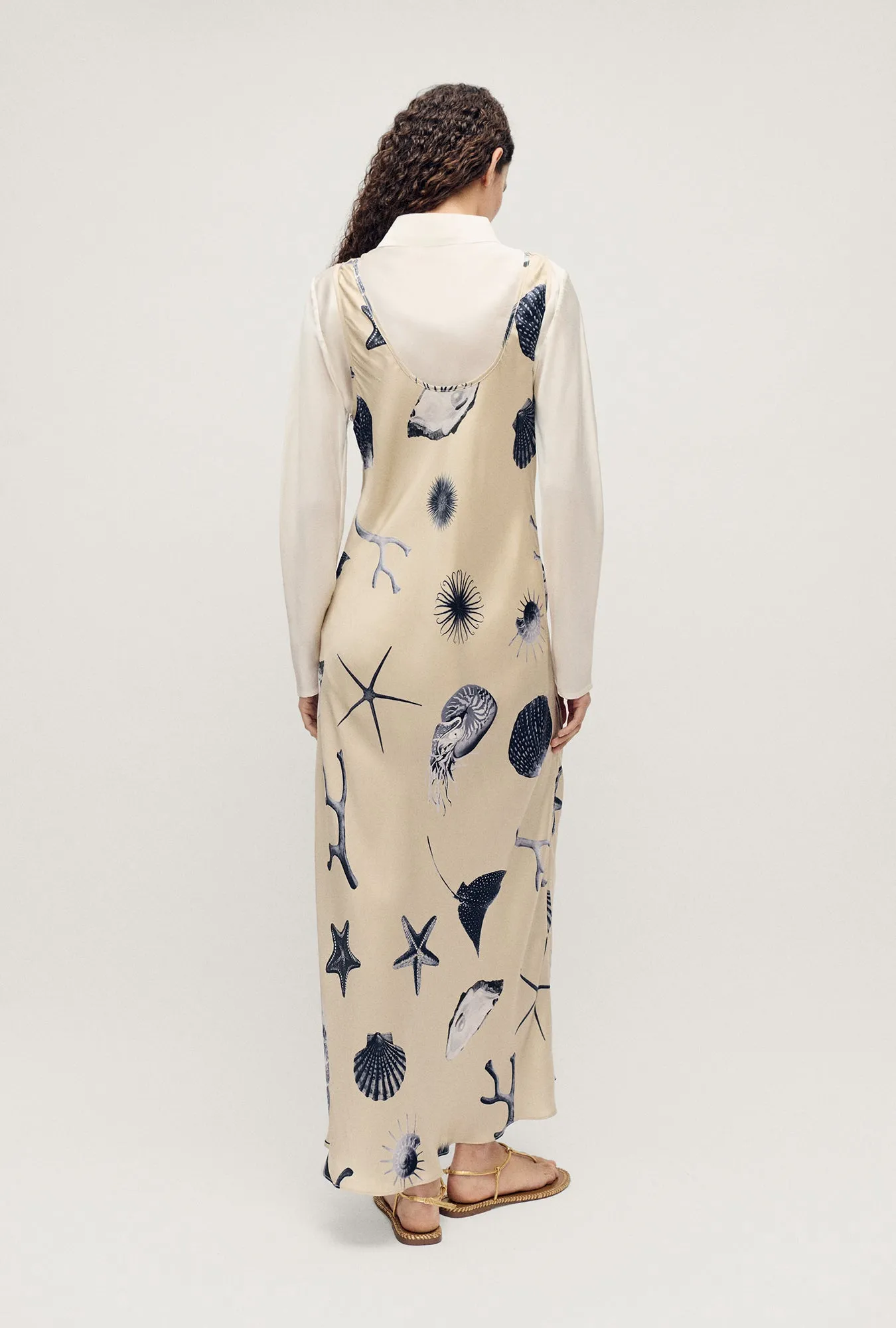 Scoop Neck Dress Seashells sold by Silk Laundry product image thumbnail 3