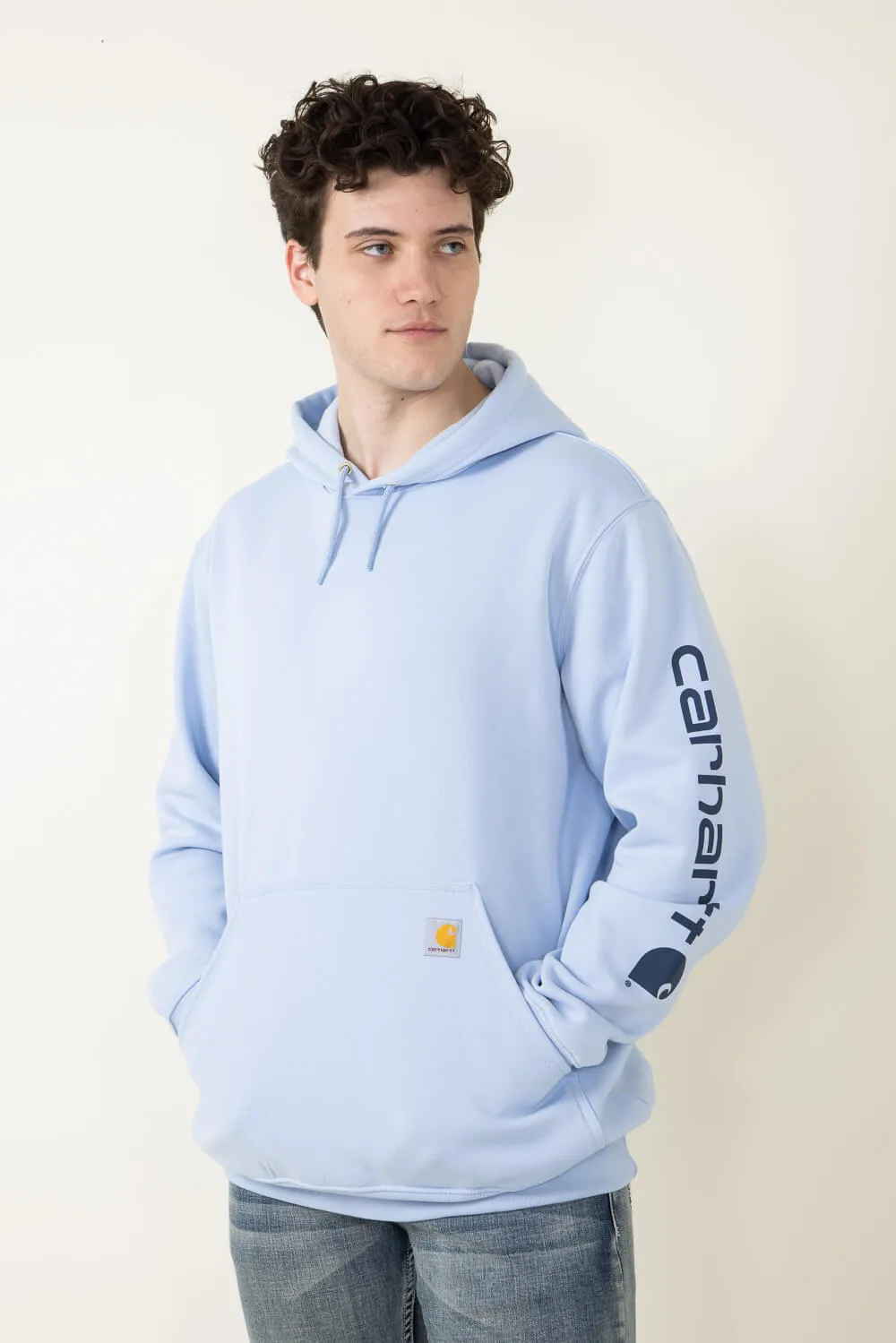 Carhartt Loose Midweight Logo Sleeve Graphic Sweatshirt for Men in Fog Blue | K288-HC5-FOGBLUE sold by Glik’s