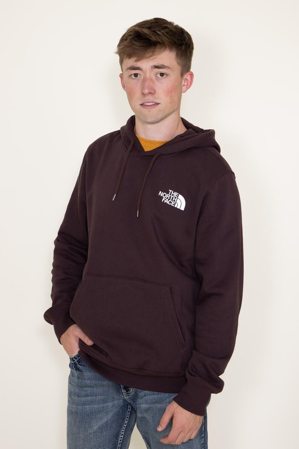 The North Face Box NSE Pullover Hoodie for Men in Brown | NF0A7UNS-LOQ sold by Glik’s product image thumbnail 4