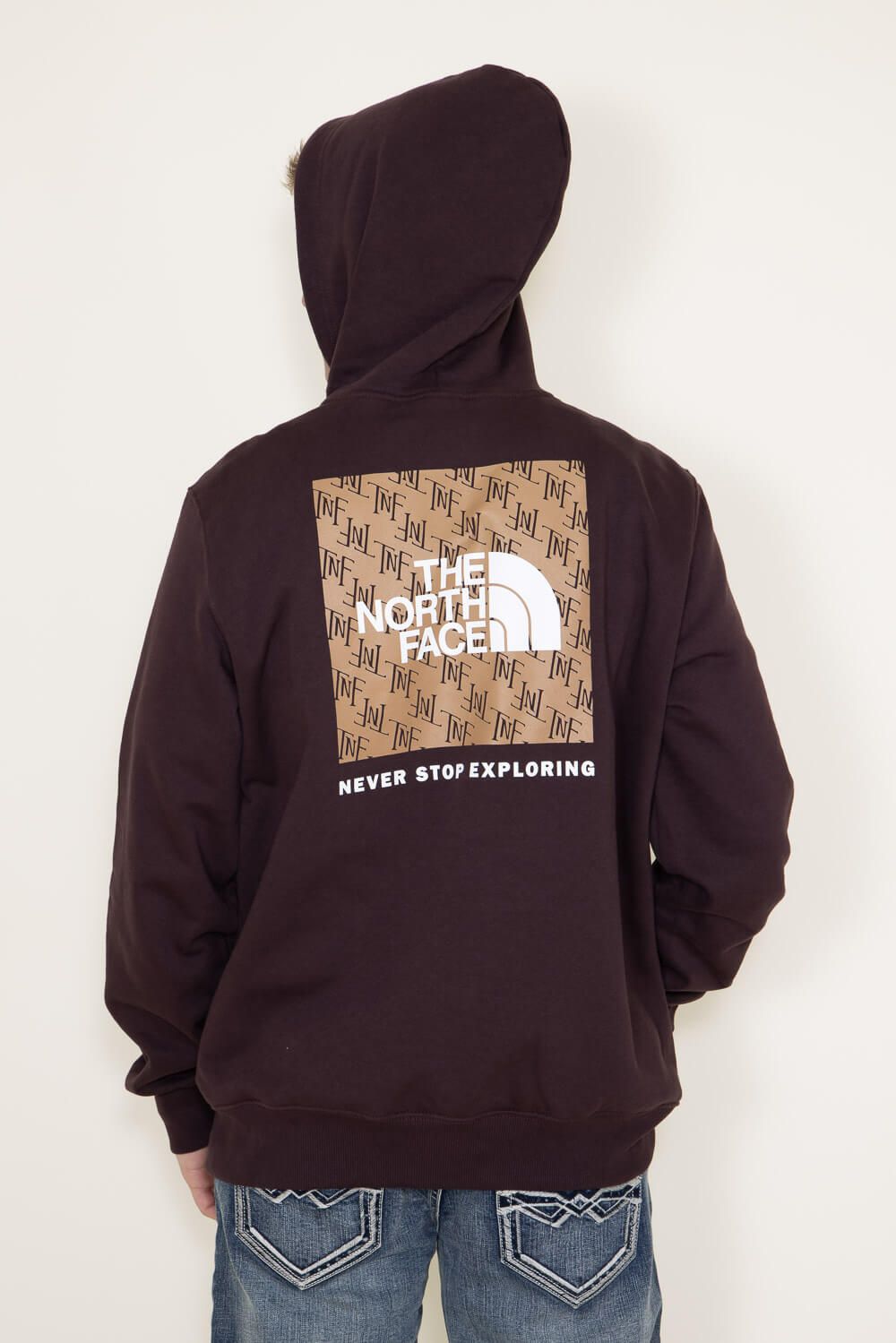 The North Face Box NSE Pullover Hoodie for Men in Brown | NF0A7UNS-LOQ sold by Glik’s product image thumbnail 5