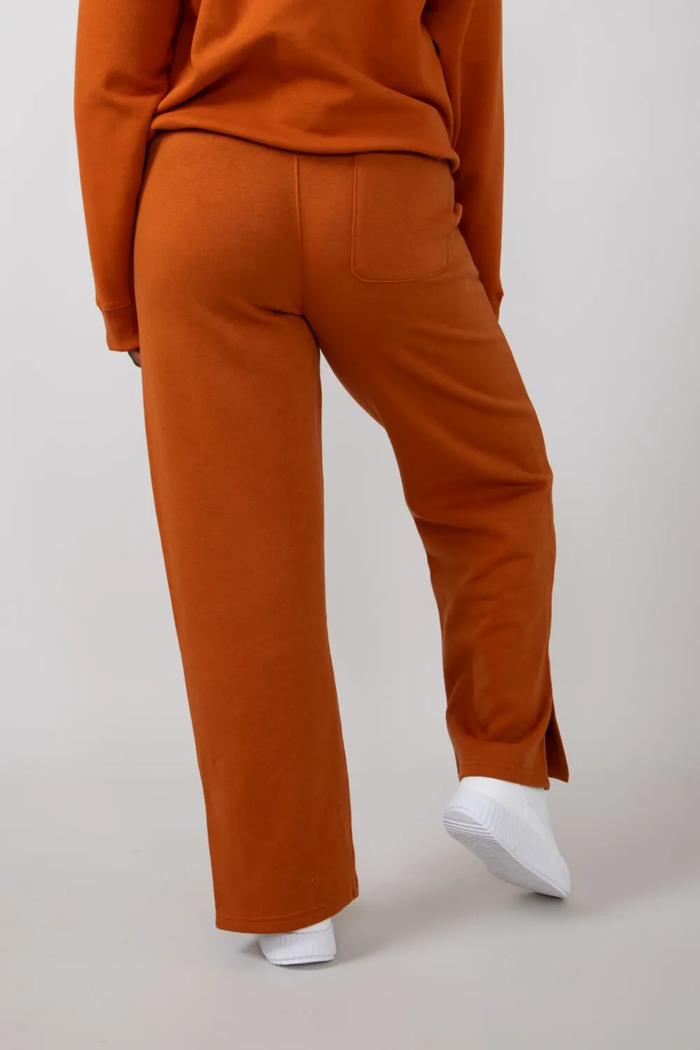 The North Face Evolution Pant for Women in Earthen Copper | NF0A8900-1I0 sold by Glik’s product image thumbnail 3