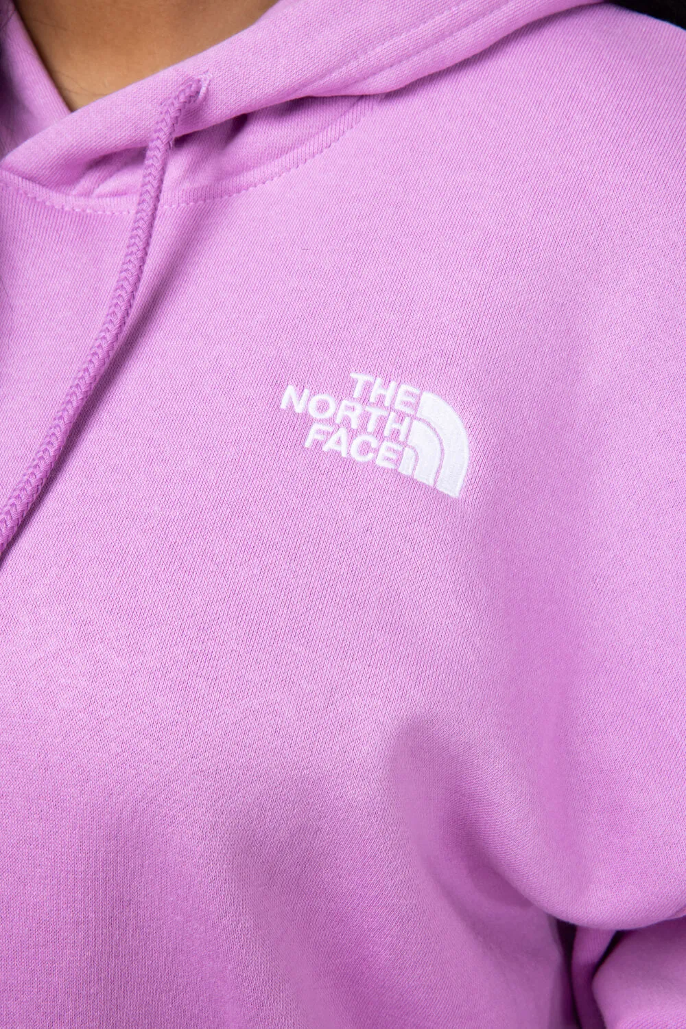 The North Face Evolution Hoodie in Dragonfruit | NF0A84GE-1IB sold by Glik’s product image thumbnail 3
