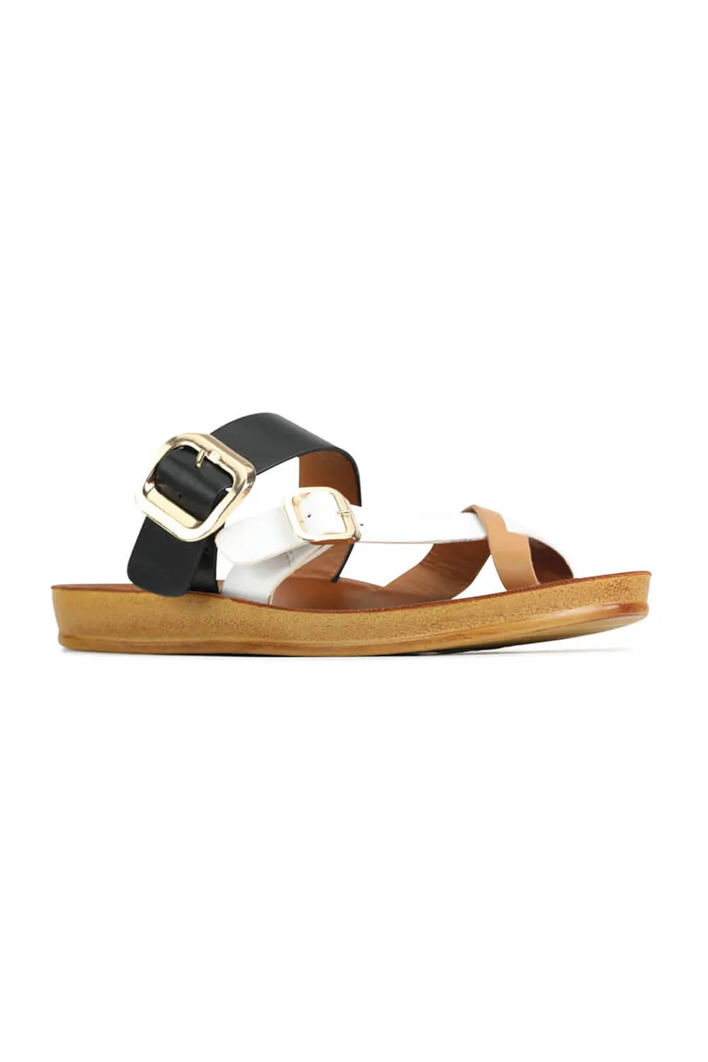 Los Cabos Dany Sandals for Women in Black Multi | L2506-011 sold by Glik’s