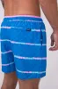 Chubbies Embossed Classic Swim Trunks 5.5” Shorts for Men in Blue Stripe | 142251-024 sold by Glik’s