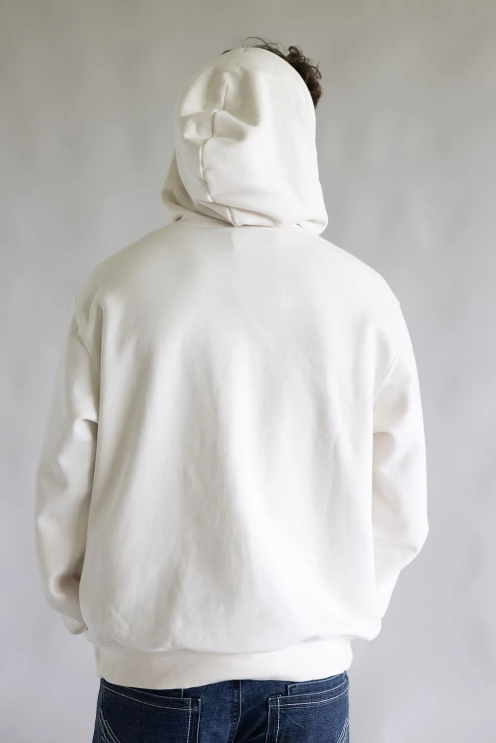 The North Face Evolution Half Dome Hoodie for Men in White Dune | NF0A8FNF-QLI sold by Glik’s product image thumbnail 2