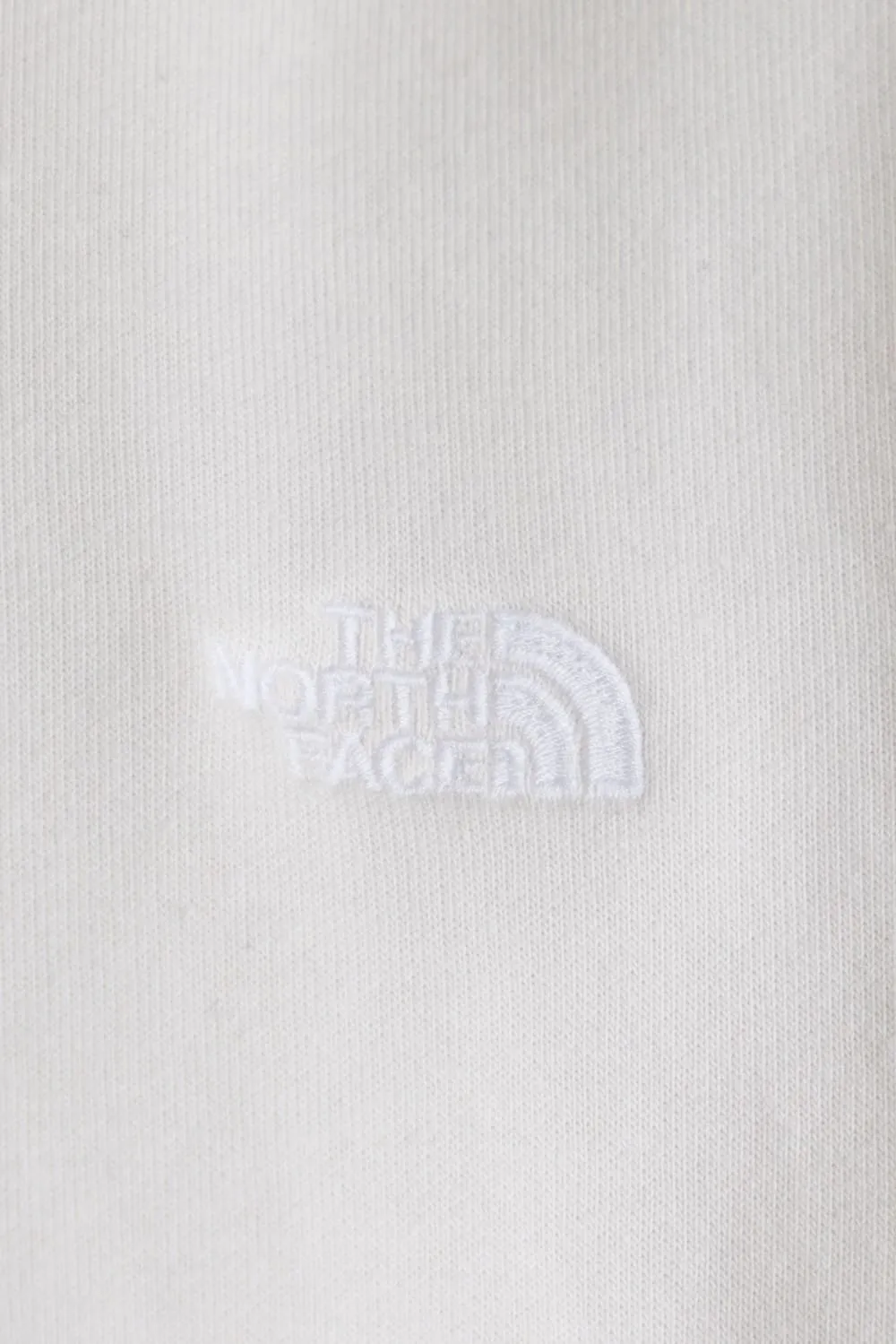 The North Face Evolution Embroidered Logo Hoodie for Men in Dune | NF0A8CW7-QLI sold by Glik’s product image thumbnail 3