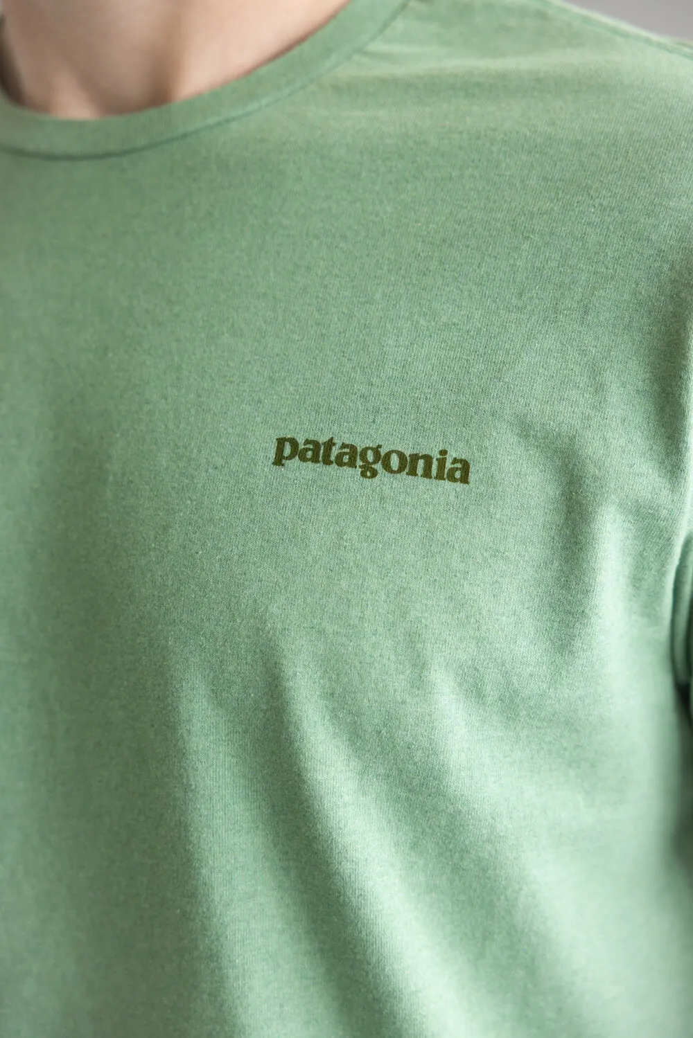 Patagonia Men’s Fitz Roy Icon Responsibili-Tee T-Shirt in Rinsed Green | 37838-ELGR GREEN sold by Glik’s product image thumbnail 3