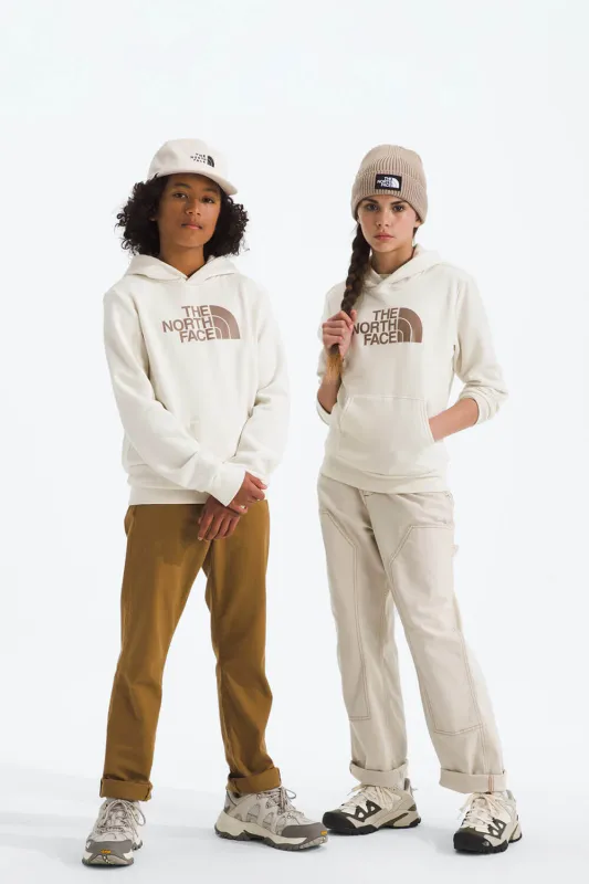 The North Face Teen Evolution Half Dome Hoodie in White Dune | NF0A8CV4-QLI sold by Glik’s