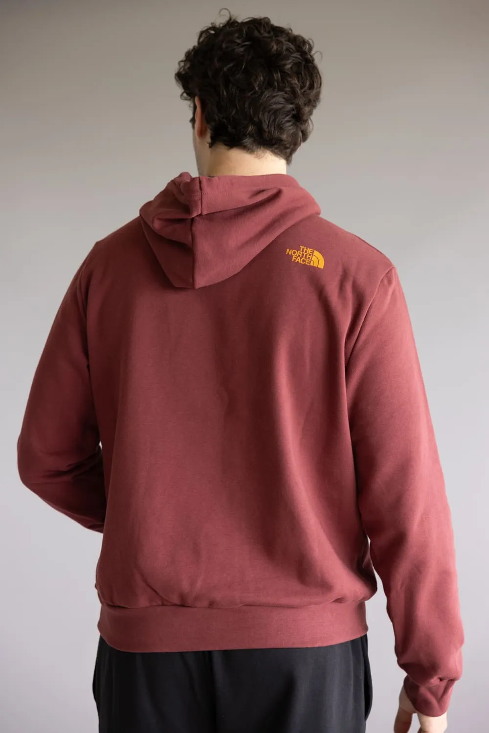 The North Face Evolution Mountain Hoodie for Men in Sumac | NF0A8FMU-0VO sold by Glik’s product image thumbnail 4