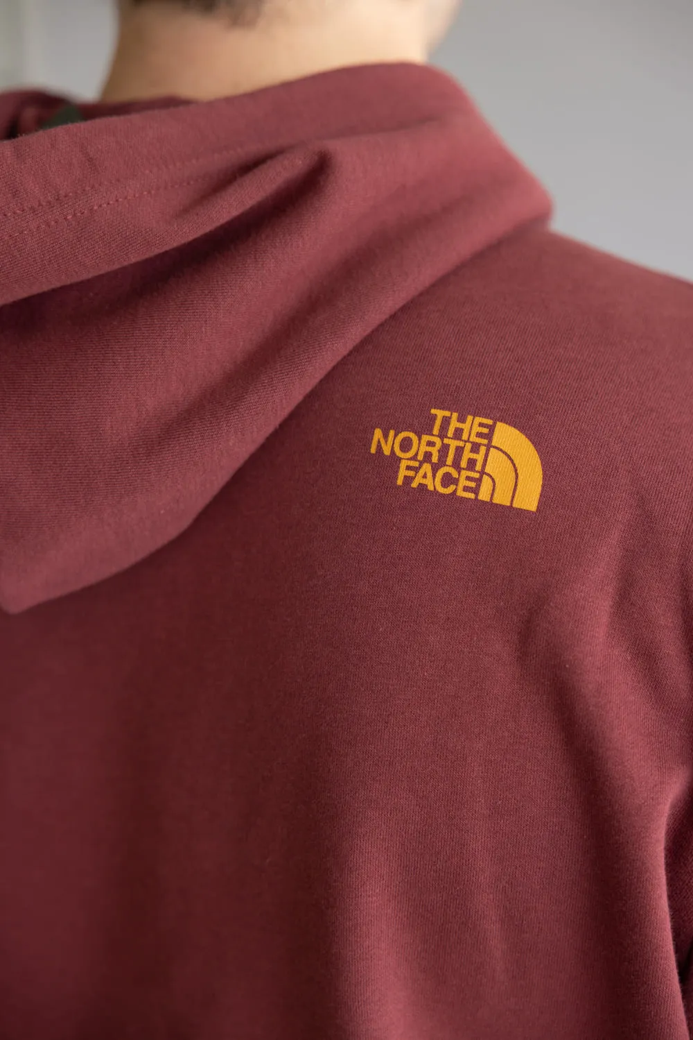 The North Face Evolution Mountain Hoodie for Men in Sumac | NF0A8FMU-0VO sold by Glik’s product image thumbnail 5