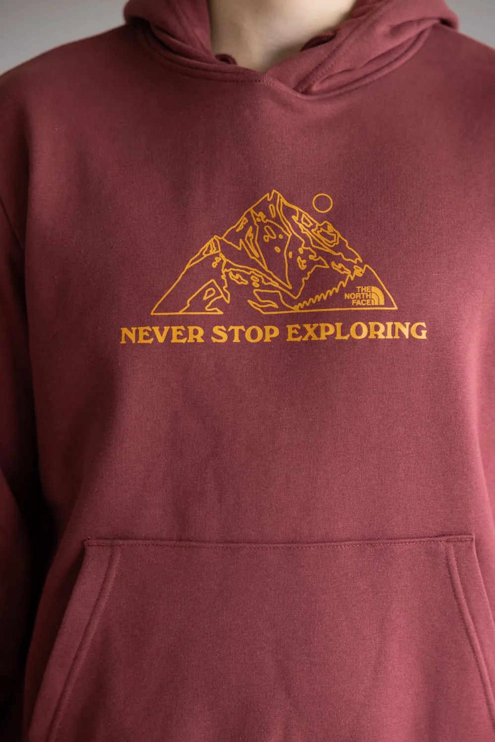 The North Face Evolution Mountain Hoodie for Men in Sumac | NF0A8FMU-0VO sold by Glik’s product image thumbnail 3