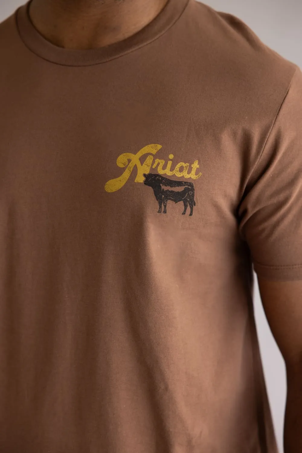 Ariat BBQ Smoke T-Shirt for Men in Soft Silt | 10071197-SOFT SILT sold by Glik’s product image thumbnail 3