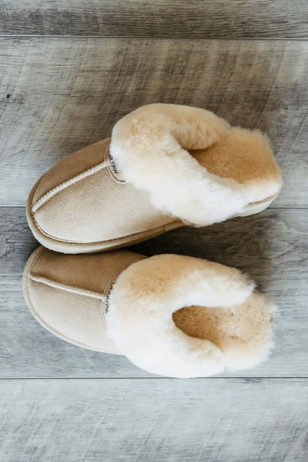 Bearpaw Loki II Slippers for Women in Oat | 671W-125 OAT sold by Glik’s