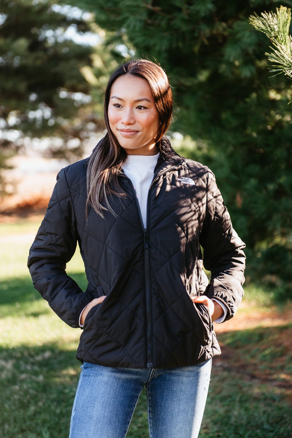 Short Jacket Jd Sports Ladies North Face Jackets The North Face