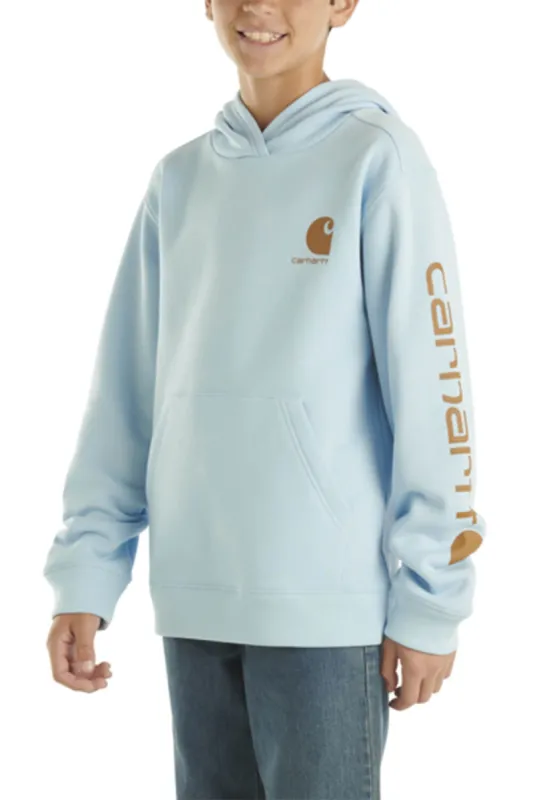 Carhartt Youth Graphic Hoodie for Boys in Blue | CA6549-HG2 sold by Glik’s