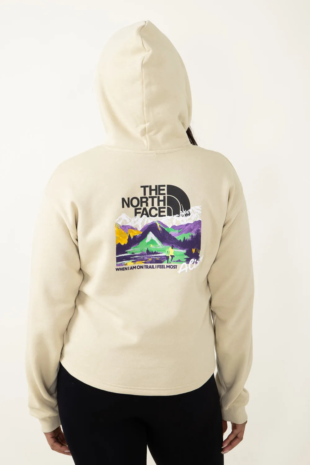 THE NORTH FACE HEATHER LOGO FIG HOODIE L The North Face Evolution 