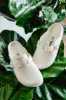 Birkenstock Boston EVA Clogs for Women in Eggshell | 1027382 sold by Glik’s