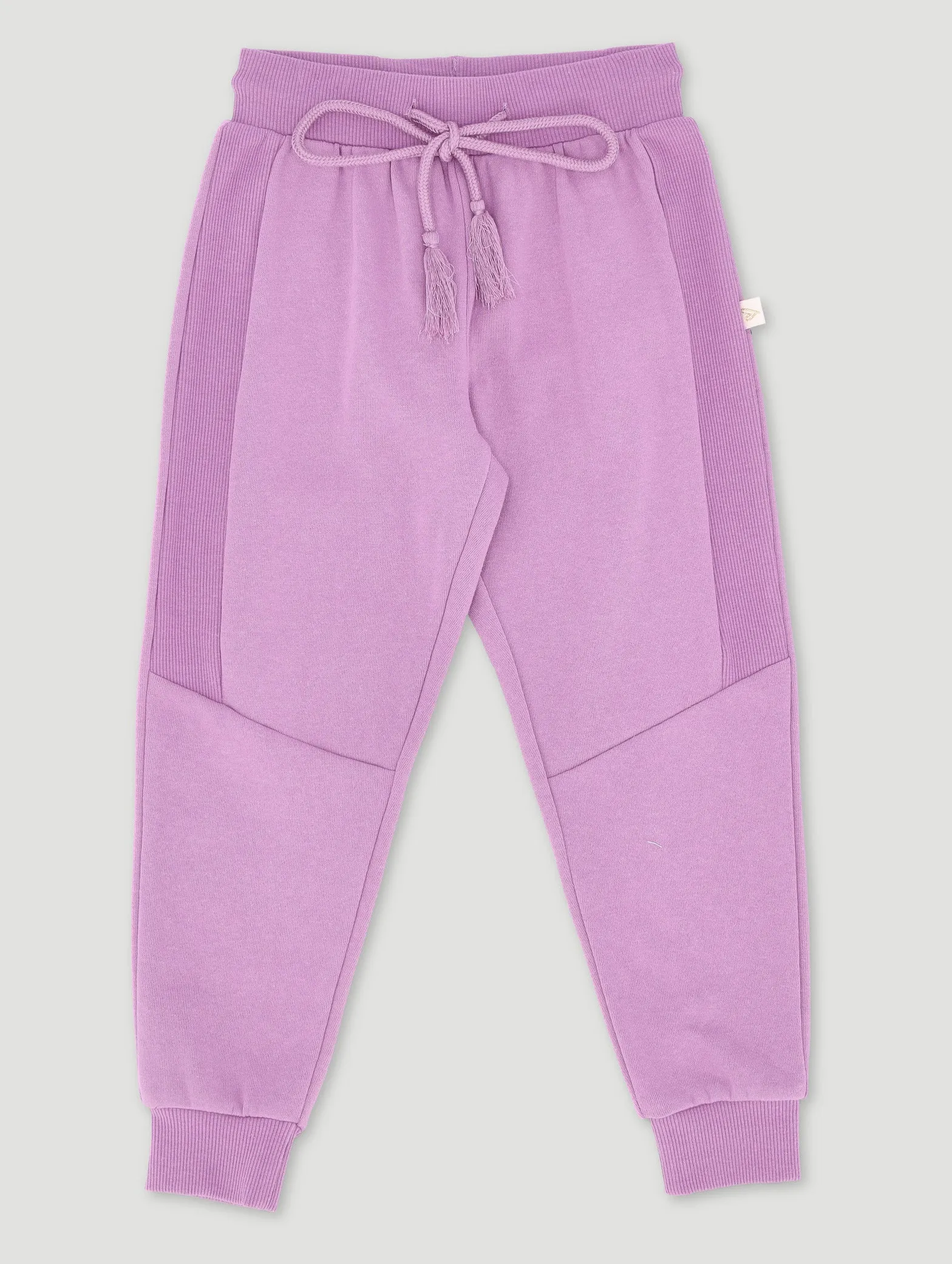Pre-Girls Basic Jogger Panneled With Embroidery - Purple sold by Edgars