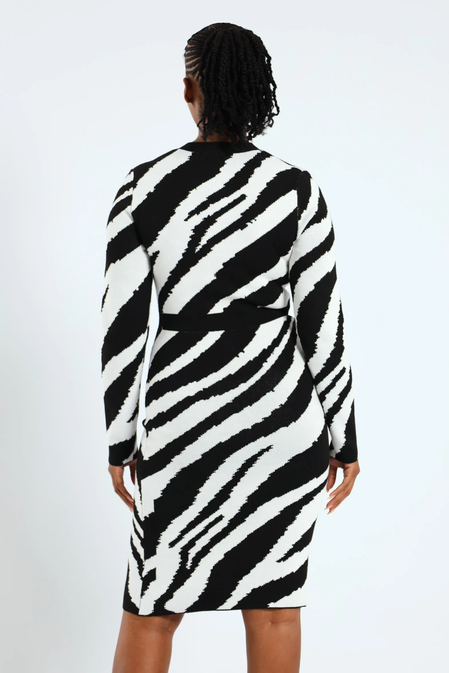 Zebra Preppy Bodycon Dress sold by Edgars product image thumbnail 3