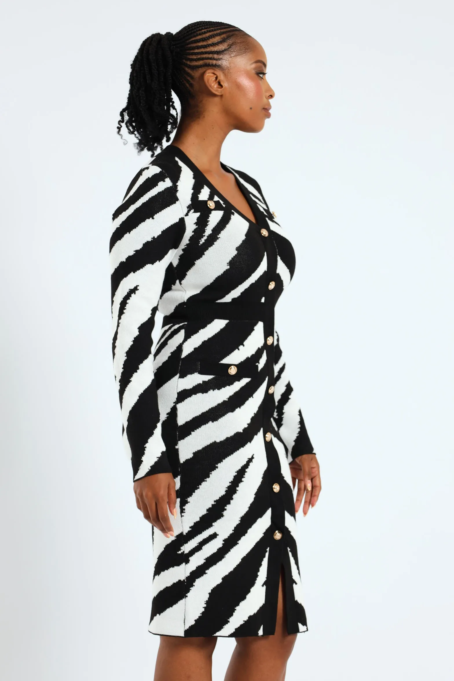 Zebra Preppy Bodycon Dress sold by Edgars product image thumbnail 4