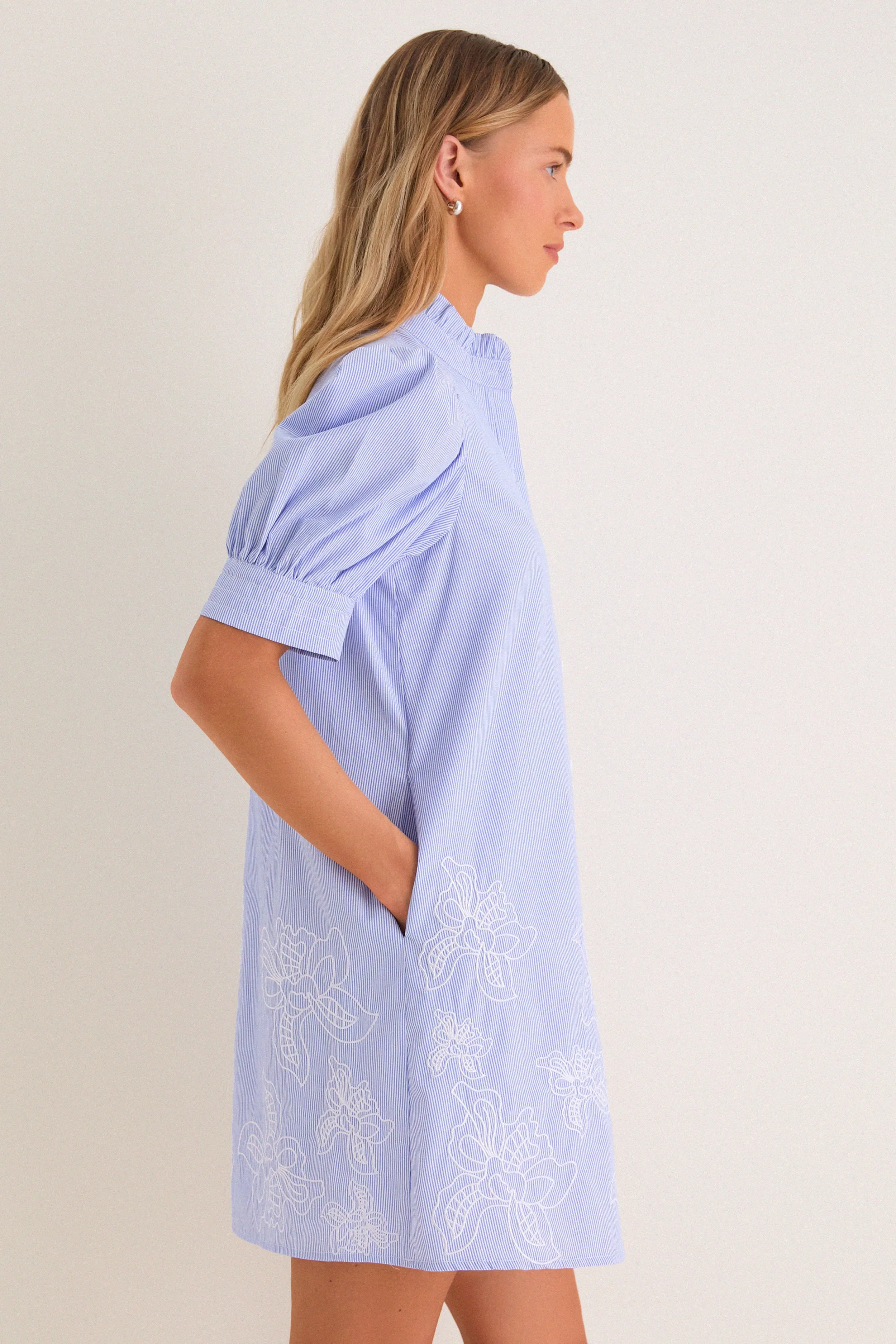 Blue Embroidered Pinstripe Louisa Mini Dress sold by Hyacinth House product image thumbnail 4
