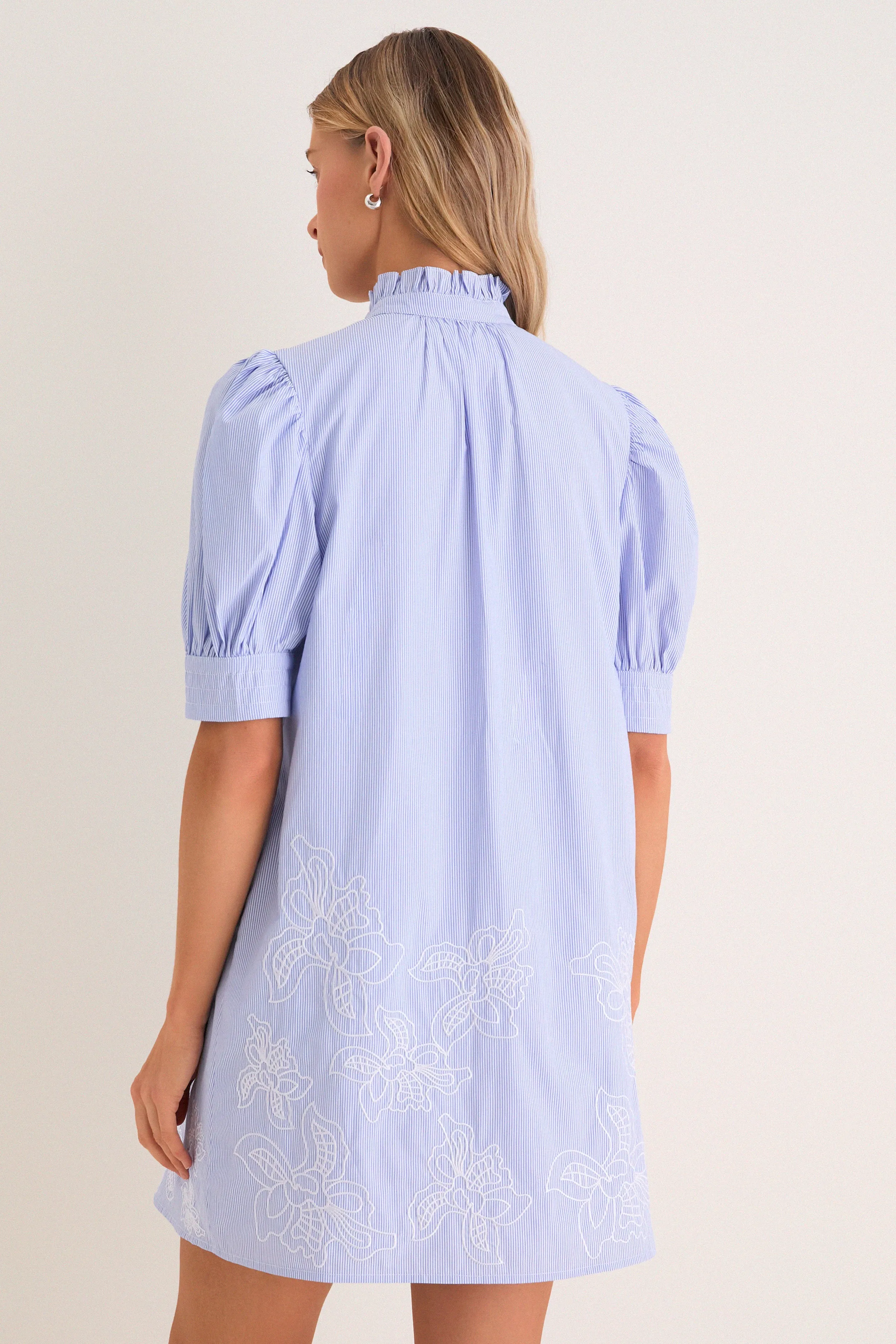 Blue Embroidered Pinstripe Louisa Mini Dress sold by Hyacinth House product image thumbnail 5