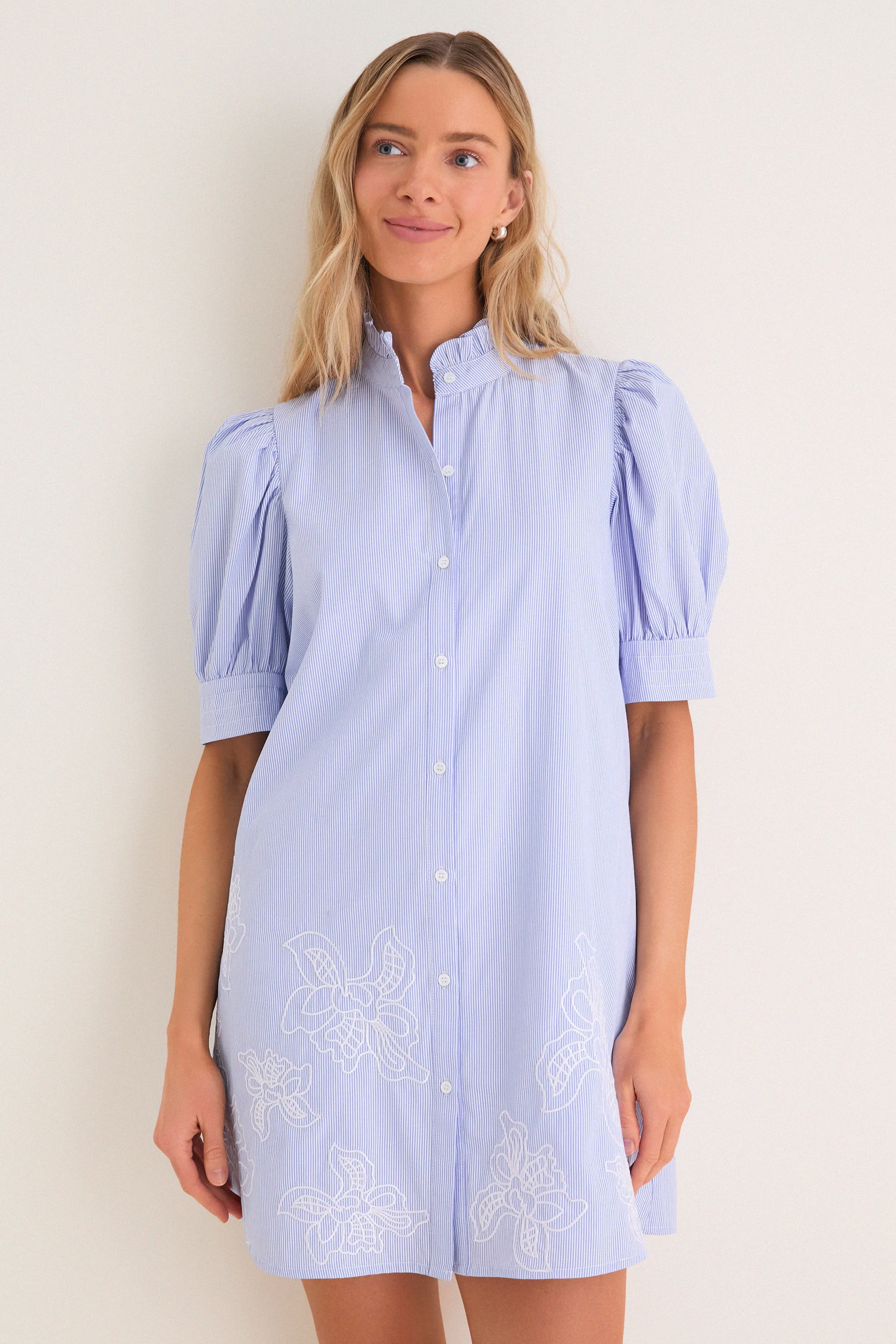 Blue Embroidered Pinstripe Louisa Mini Dress sold by Hyacinth House