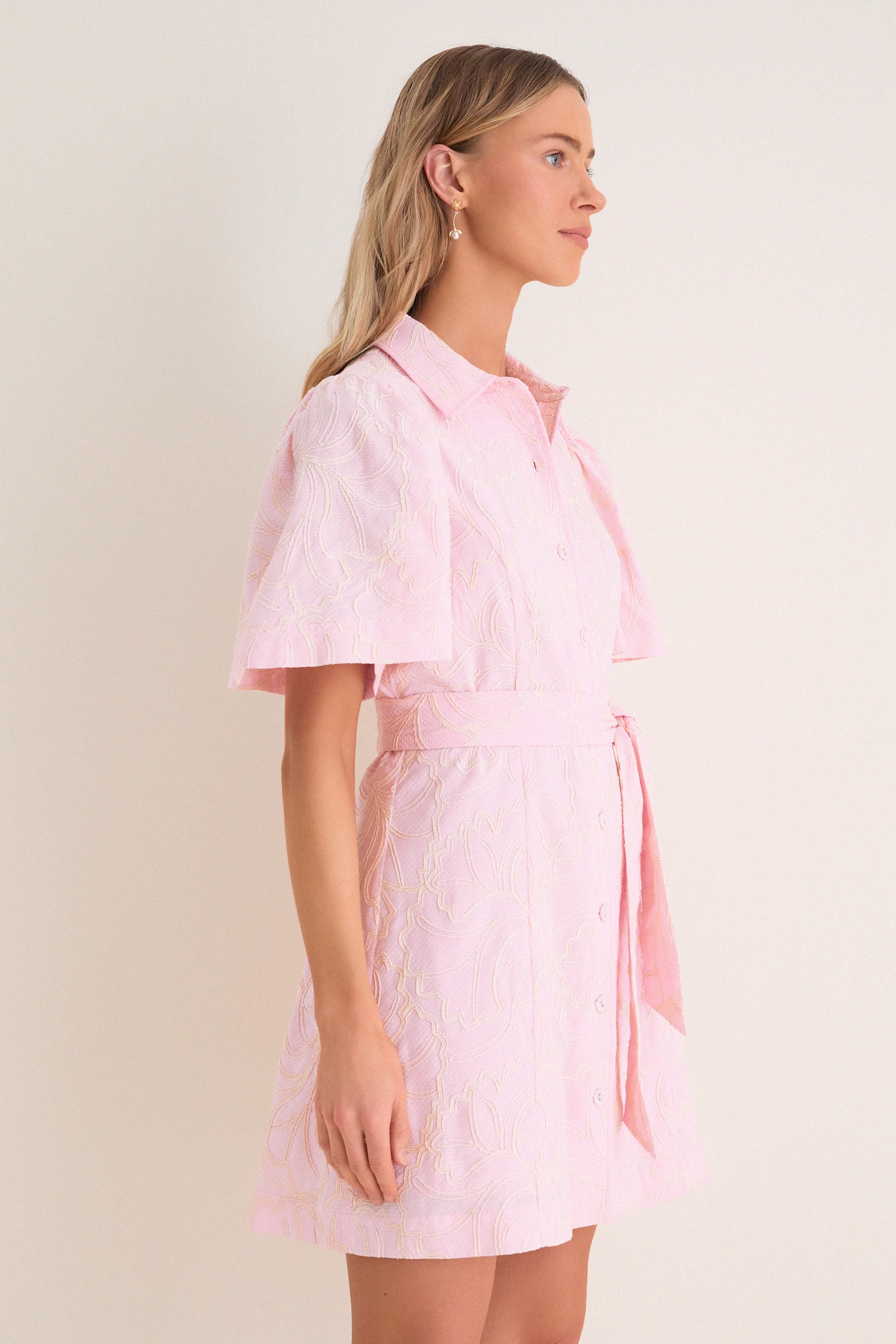 Light Pink Embroidered Gingko Leaf Peppa Mini Dress sold by Hyacinth House product image thumbnail 4