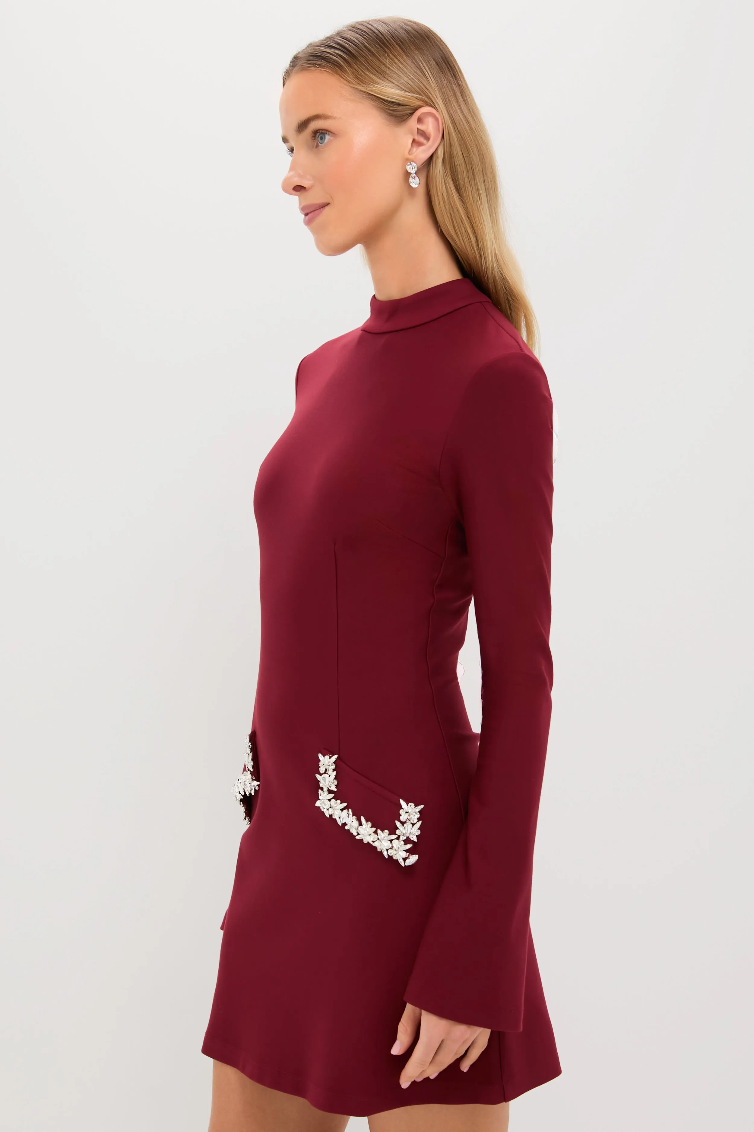 Oxblood Embellished Long Sleeve Bronwyn Mini Dress sold by Hyacinth House product image thumbnail 3
