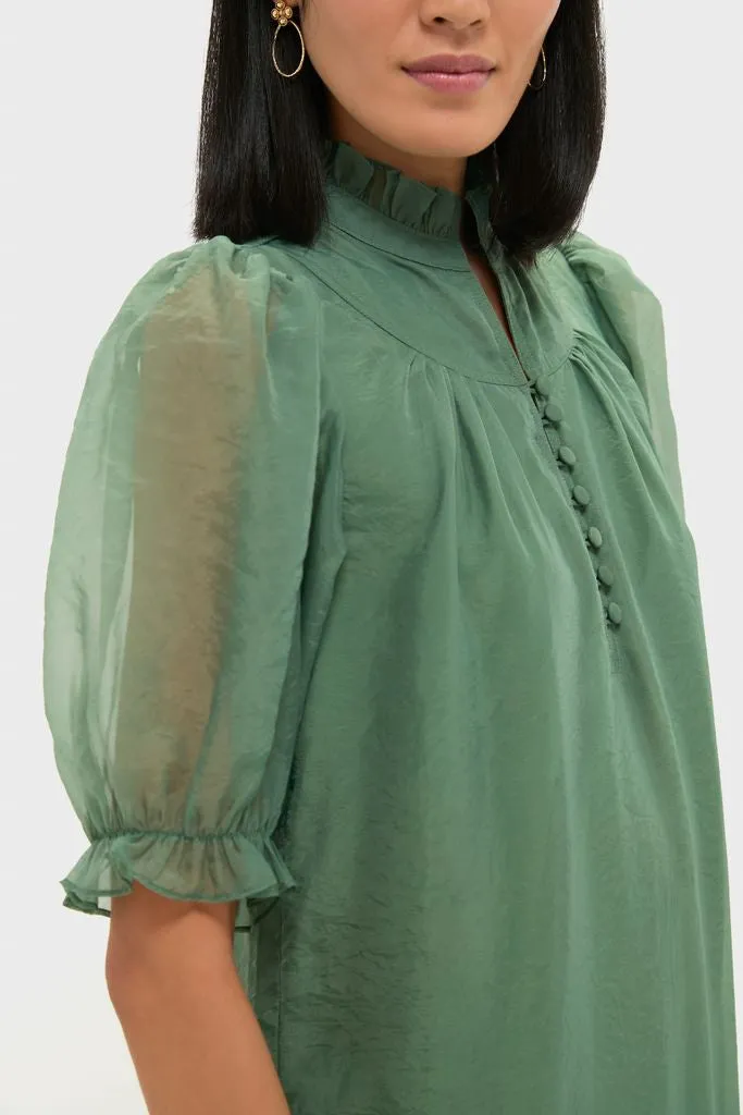 Green Chiffon Selena Maxi Dress sold by Pomander Place product image thumbnail 5