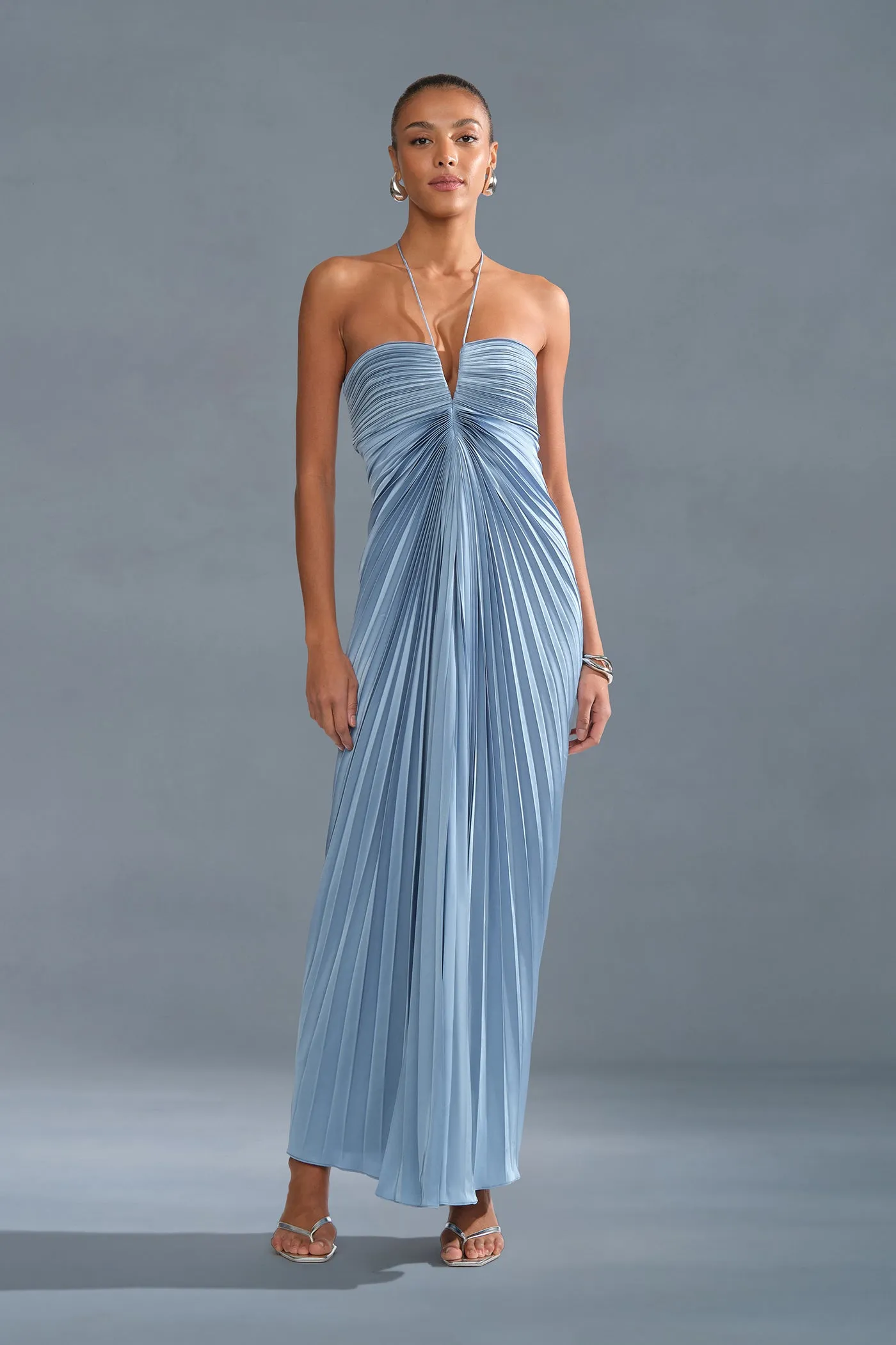 Ionea Pleated Gown sold by AMUR product image thumbnail 5