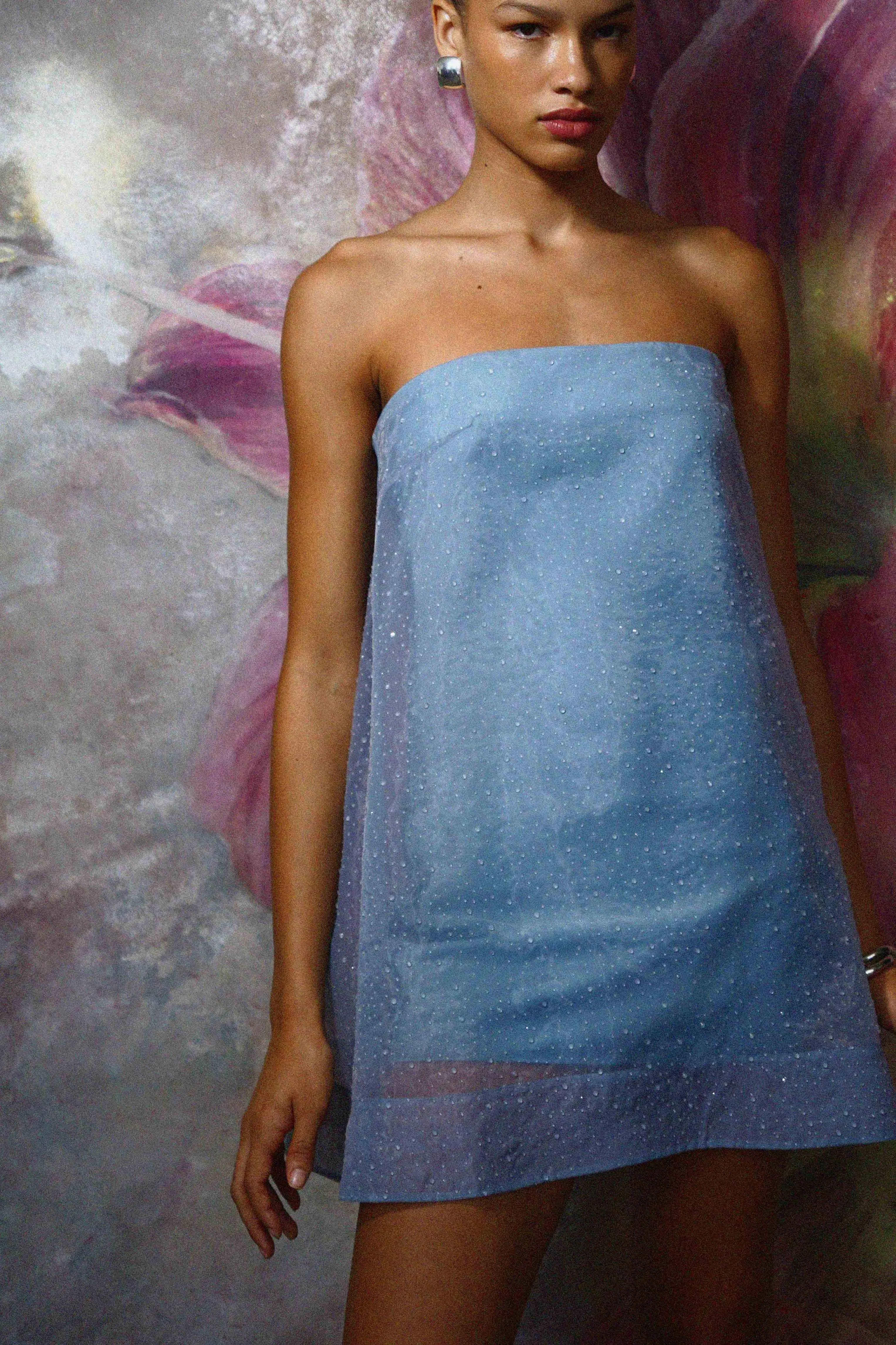 Nerida Mini Dress sold by AMUR product image thumbnail 2