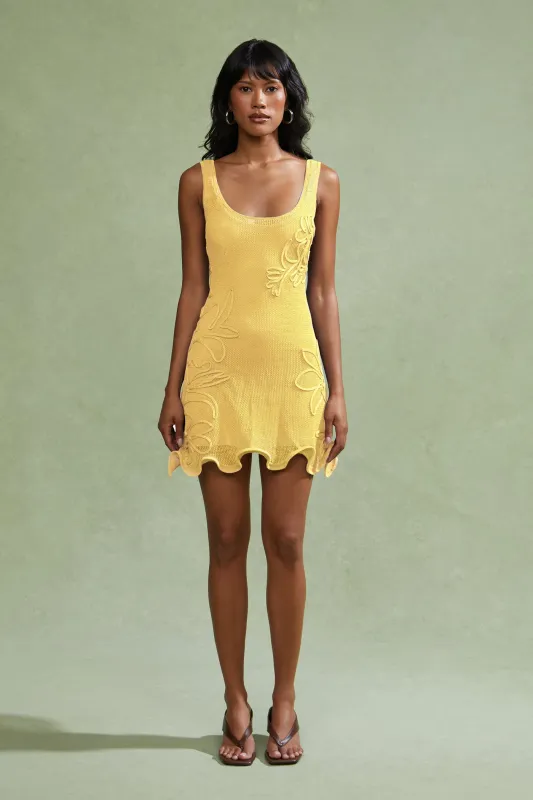 Alemeda Mini Dress made by AMUR