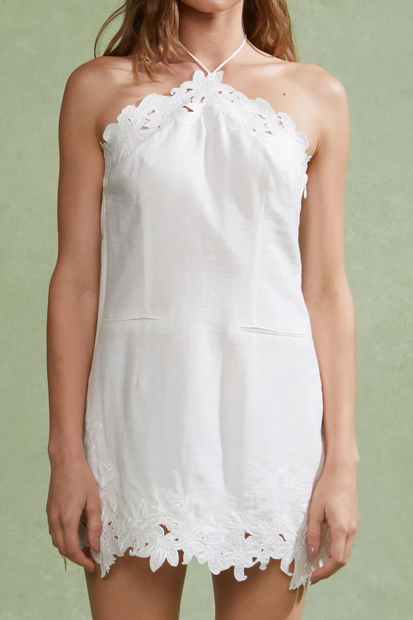 Lanie Mini Dress sold by AMUR product image thumbnail 4