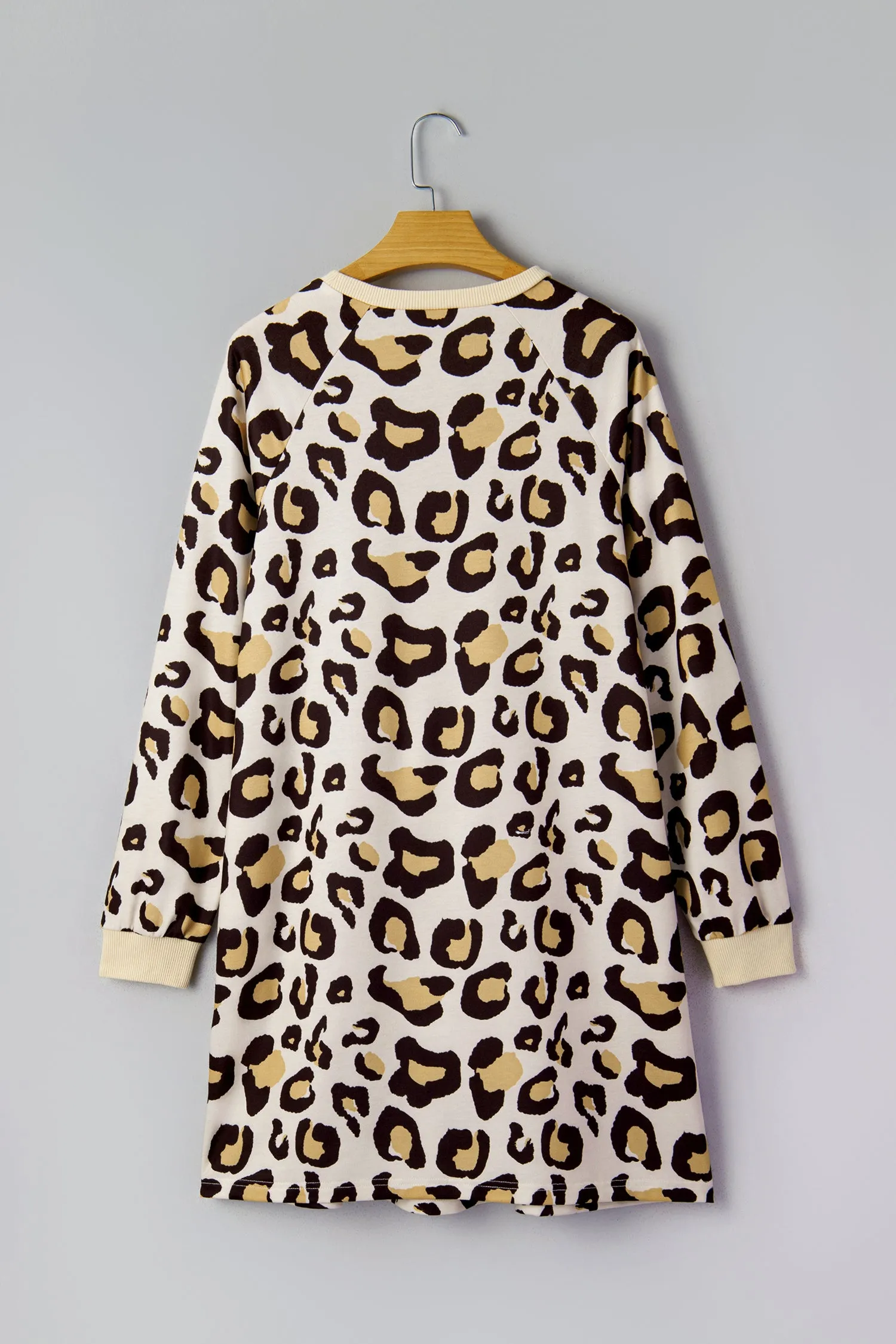 Leopard Print Long Sleeve Shift T-Shirt Dress with Pockets sold by eAura product image thumbnail 5