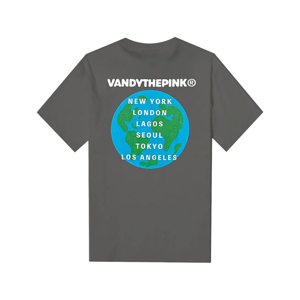 VANDY x P+F 10 YEAR TEE - GREY/WHITE sold by Places+Faces product image thumbnail 2